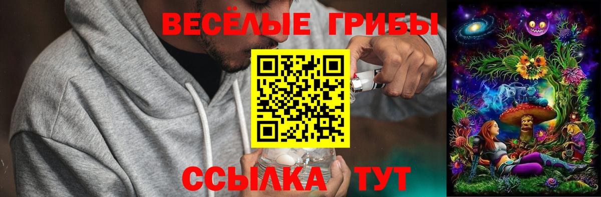 Галлюциногенные грибы Magic Shrooms  Галлюциногенные грибы Cubensis  Вход с VPN  Кудымкар 